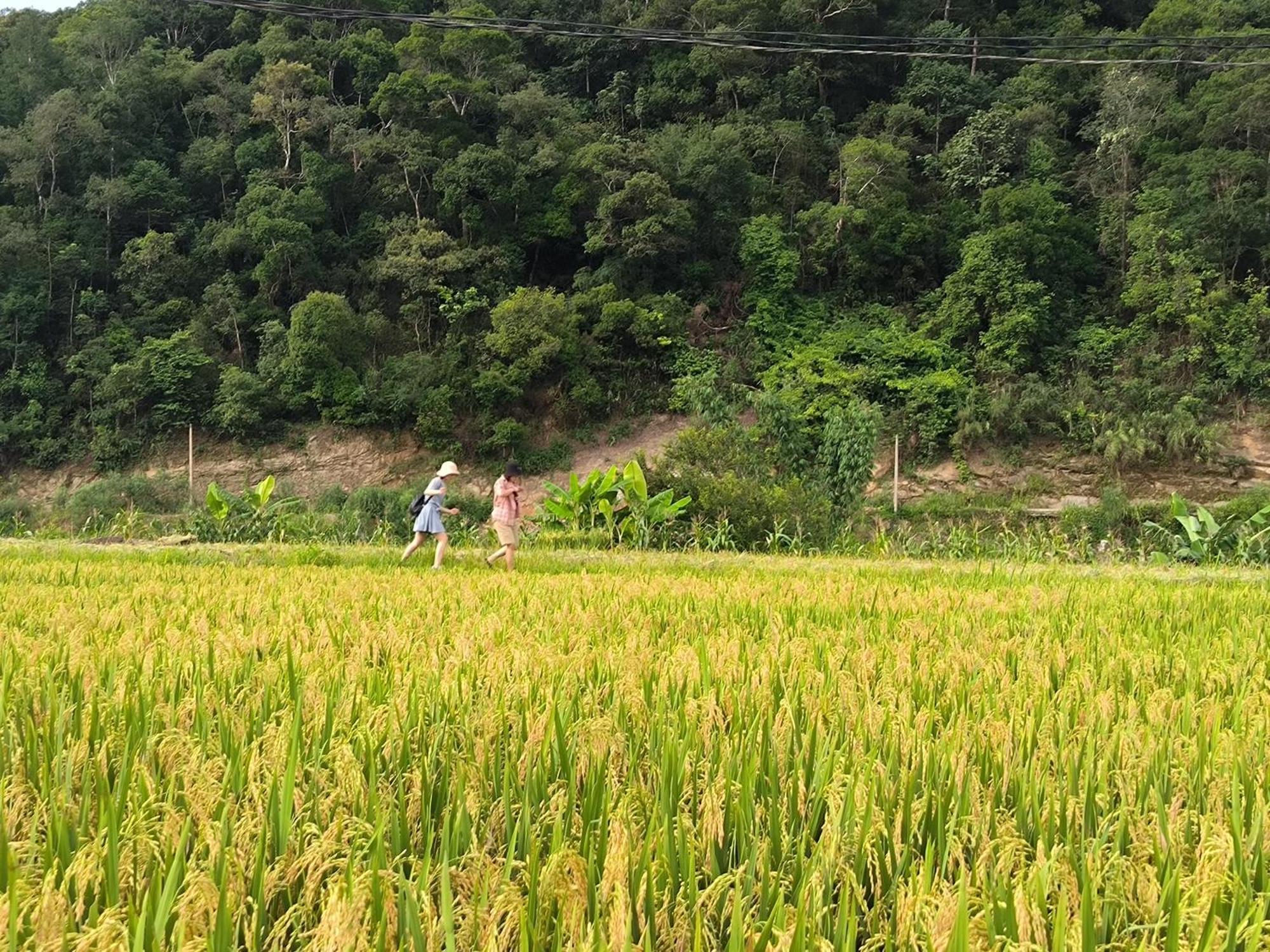 Zoni Home Tram Tau Cham Ta Lao エクステリア 写真